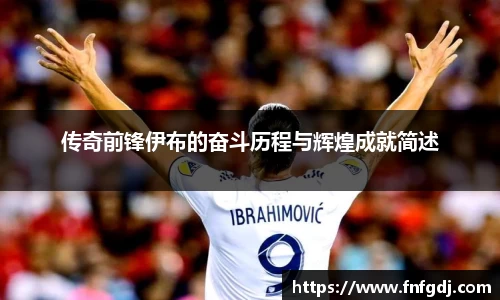 传奇前锋伊布的奋斗历程与辉煌成就简述